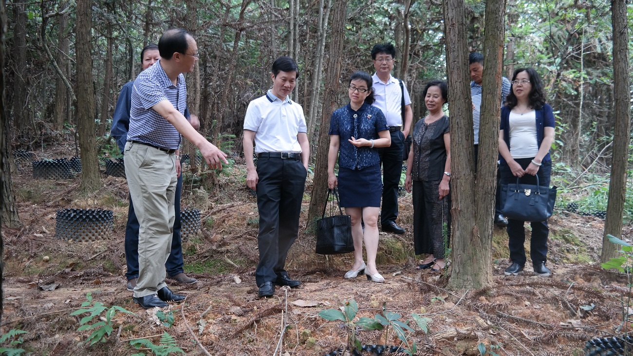 ���˴����η�ˮ��һ�е����ؿ�չ��ҩ�Ĳ�ҵ��չ����