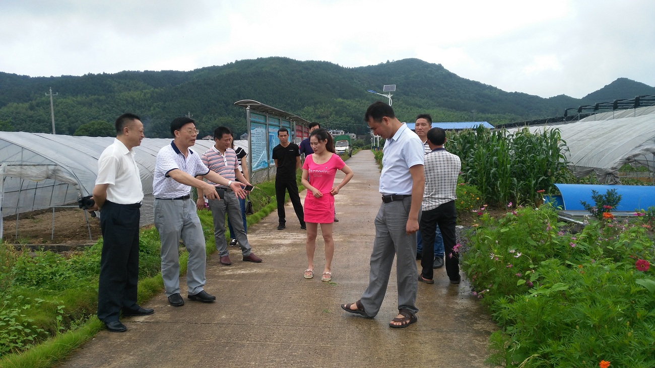 ���ٻ��߷�ο�����ִ���